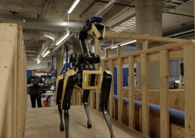 man with remote control and robot dog